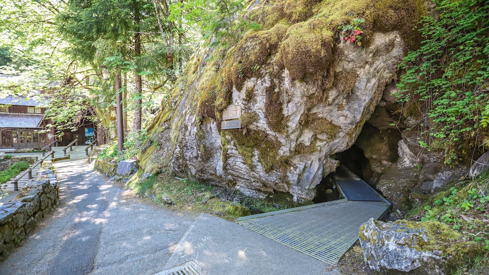 A moss-covered rock formation with a staircase leading up and a metal grate at the bottom.
