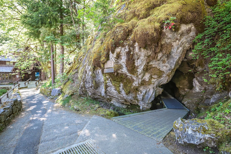 A moss-covered rock formation with a staircase leading up and a metal grate at the bottom.