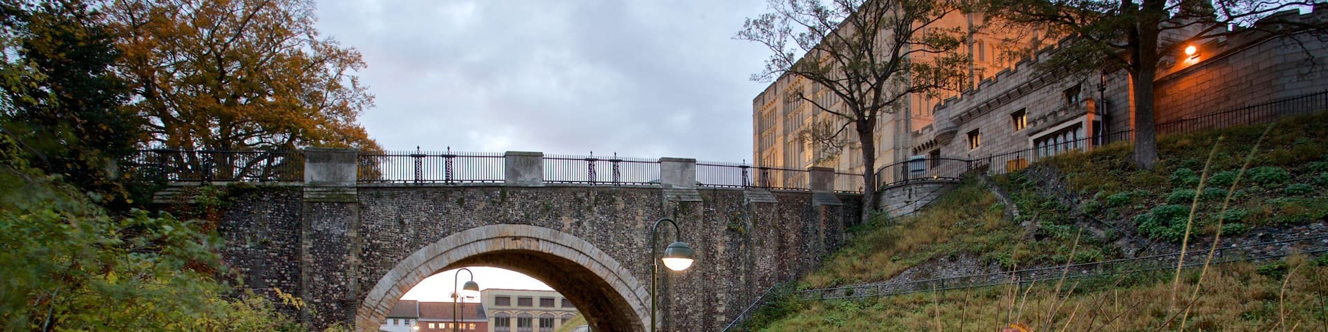 Norwich Castle featuring a bridge and a park