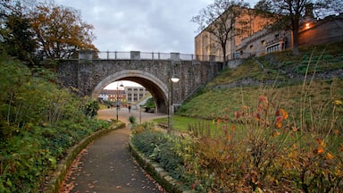 Castillo de Norwich ofreciendo un jardín y un puente