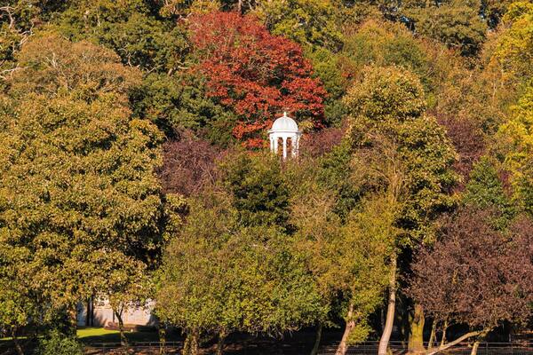 really nice place with lots of good photo locations