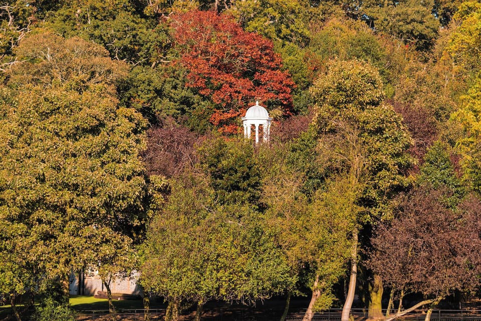 Un belvédère entouré d’arbres aux feuilles d’automne.