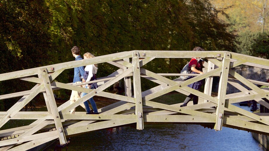 Mathematical Bridge featuring a bridge as well as a small group of people