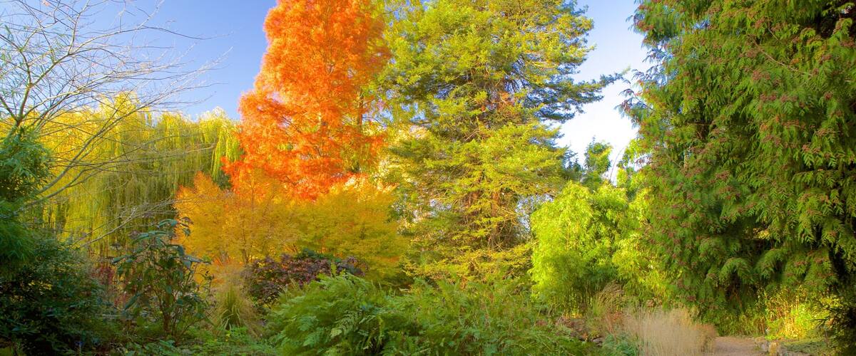University Botanic Gardens das einen Park und Herbstfarben