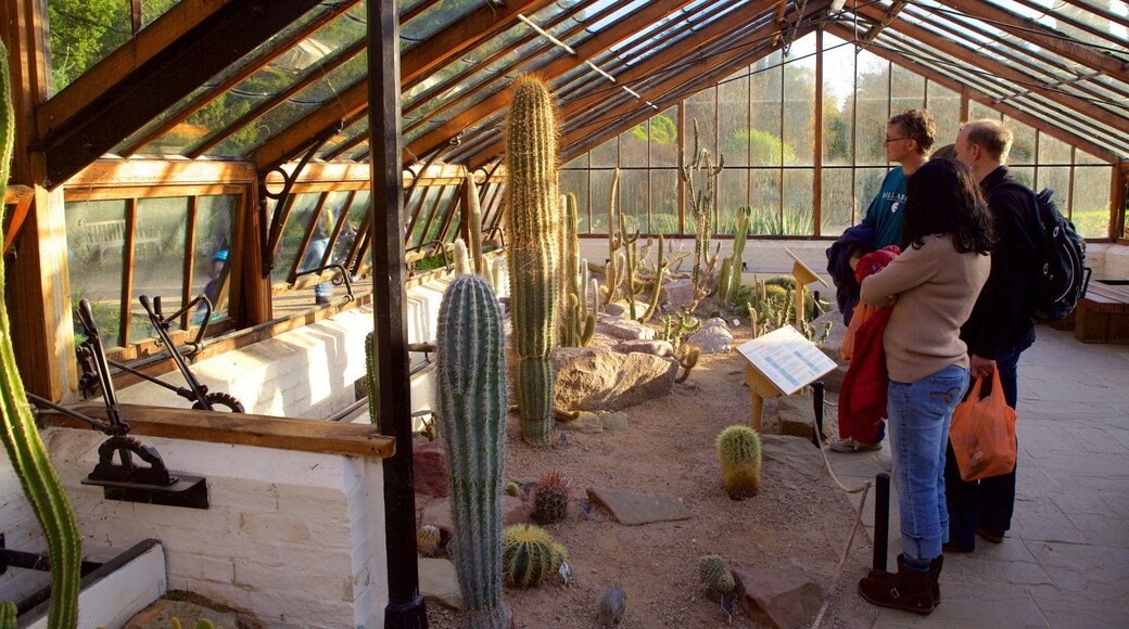 University Botanic Gardens das einen Garten sowie kleine Menschengruppe