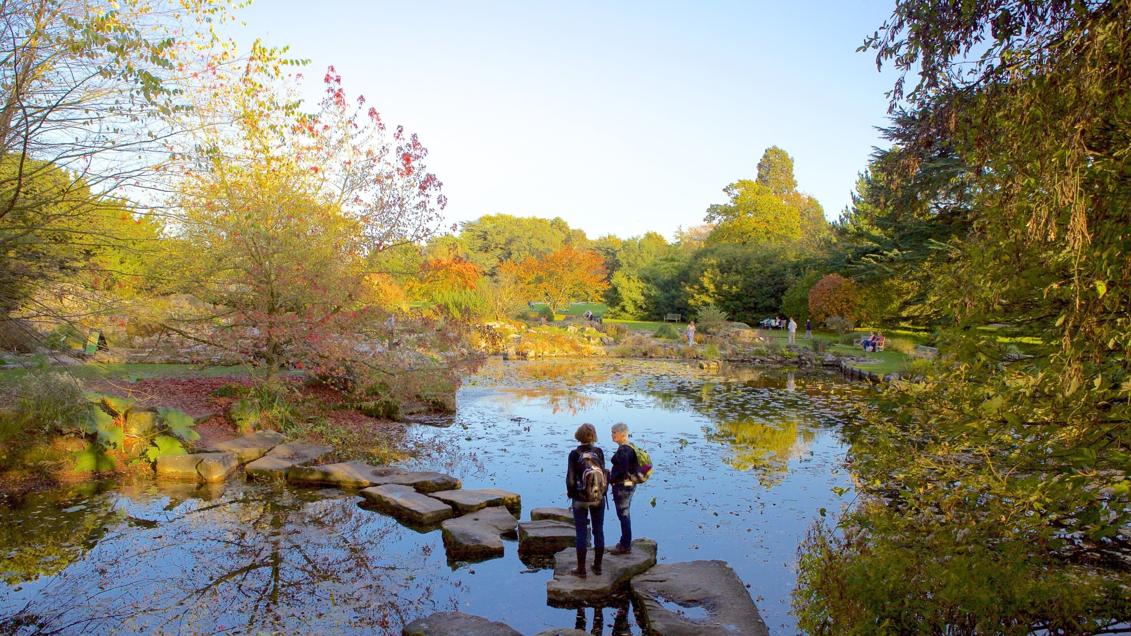 University Botanic Gardens showing a pond and a park as well as a couple