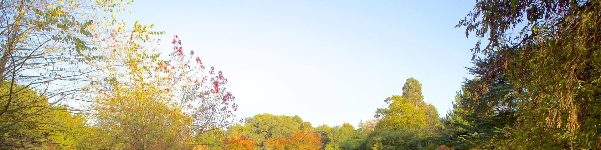 University Botanic Gardens showing a pond and a park as well as a couple