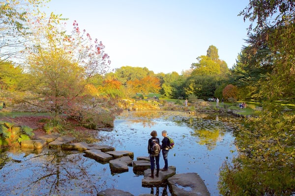 University Botanic Gardens showing a pond and a park as well as a couple