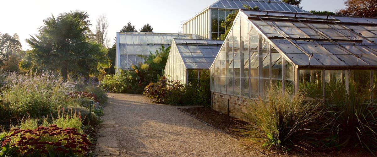 Botanische tuin van de universiteit inclusief een park