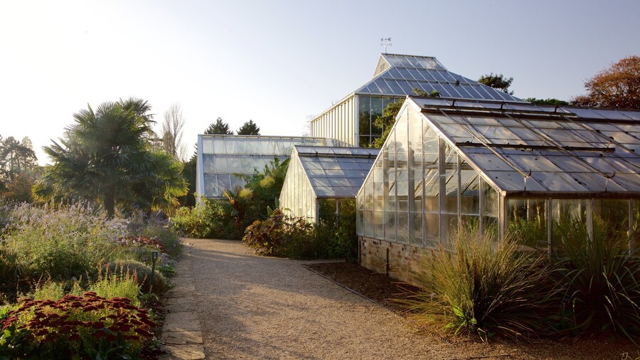 University Botanic Gardens showing a park