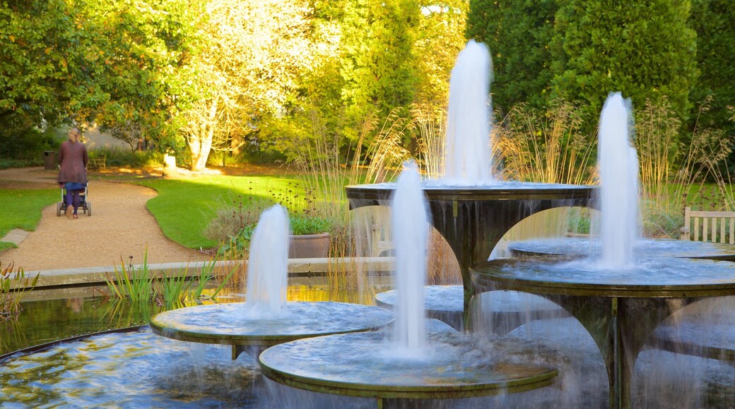 University Botanic Gardens mit einem Park und Springbrunnen