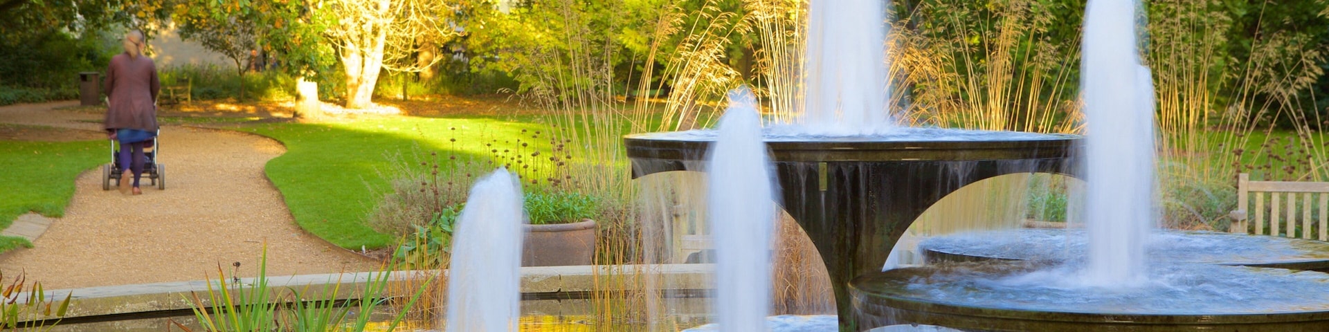 University Botanic Gardens showing a park and a fountain