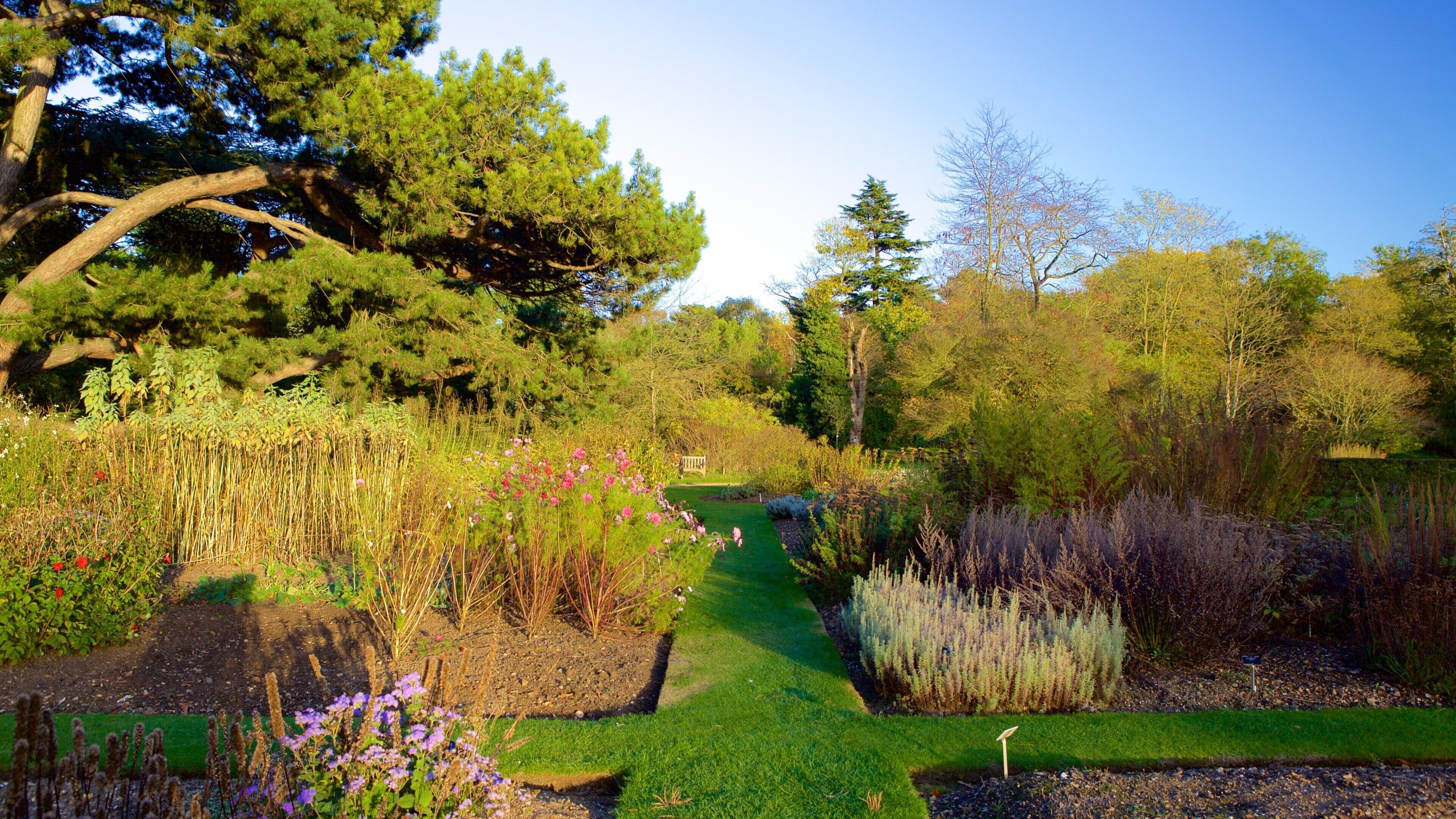 University Botanic Gardens which includes a park