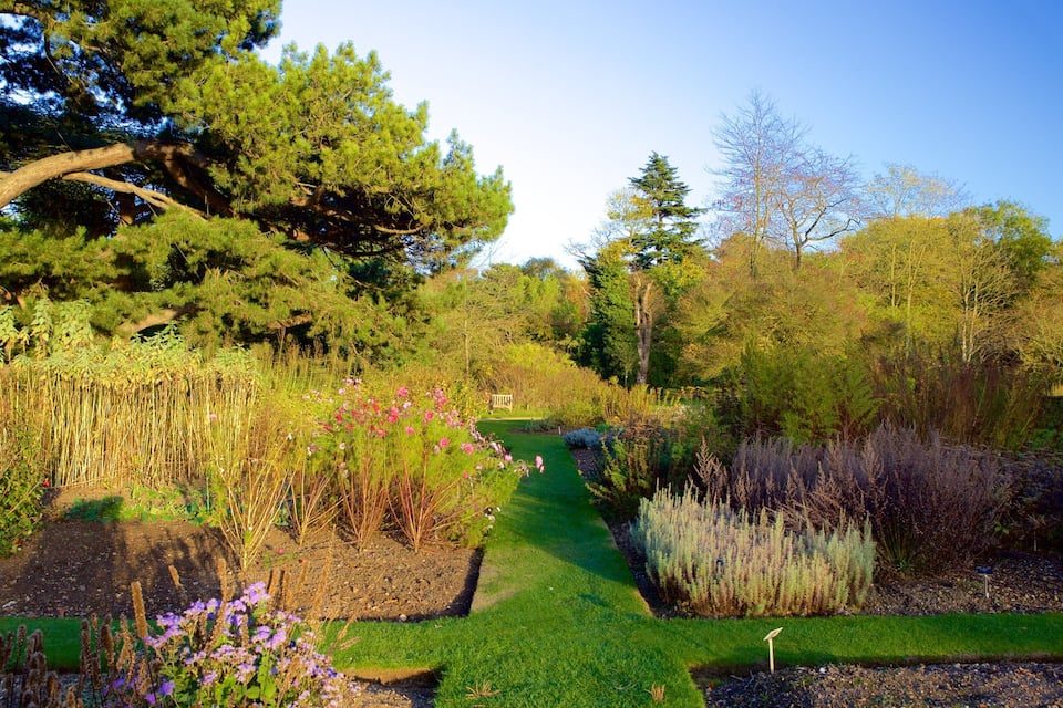 Een tuin met diverse planten, een gazen pad en bomen.