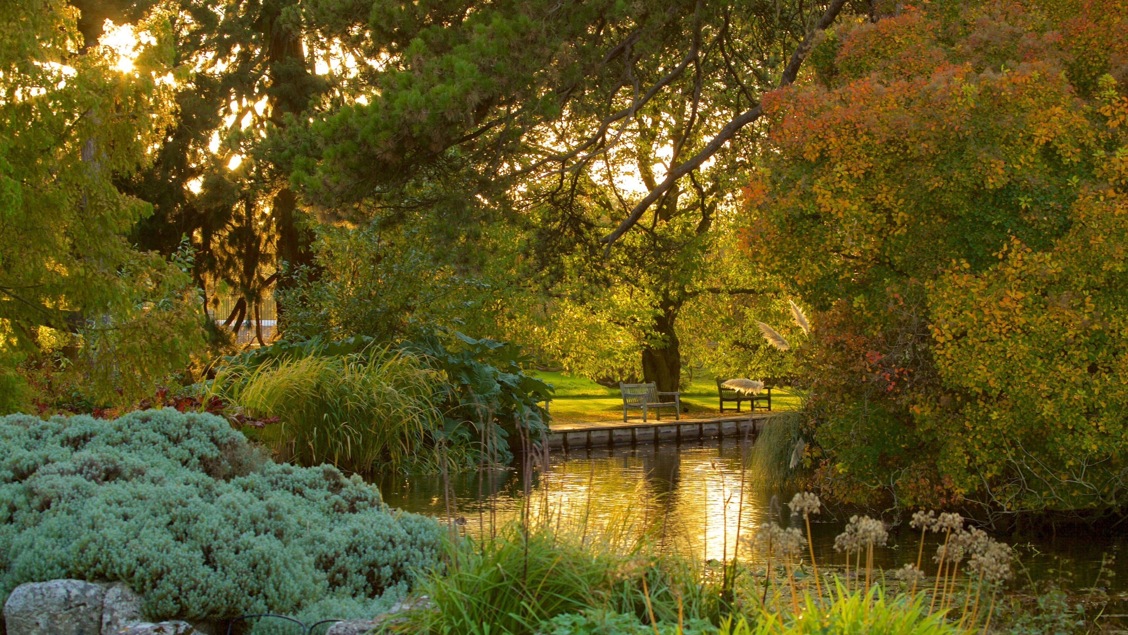 University Botanic Gardens featuring a garden, a river or creek and forests