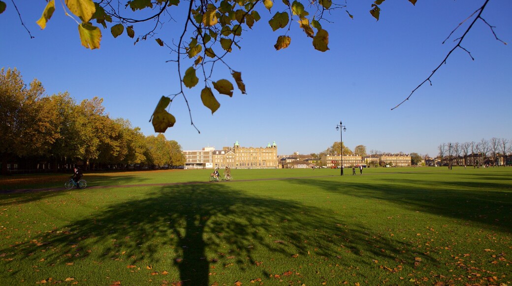 Parker\'s Piece which includes a park