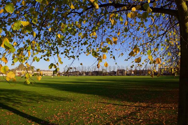 Parker\'s Piece welches beinhaltet HerbstblÀtter und Garten