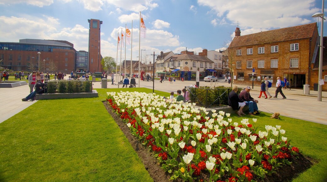 Royal Shakespeare Theatre showing a city, flowers and a square or plaza