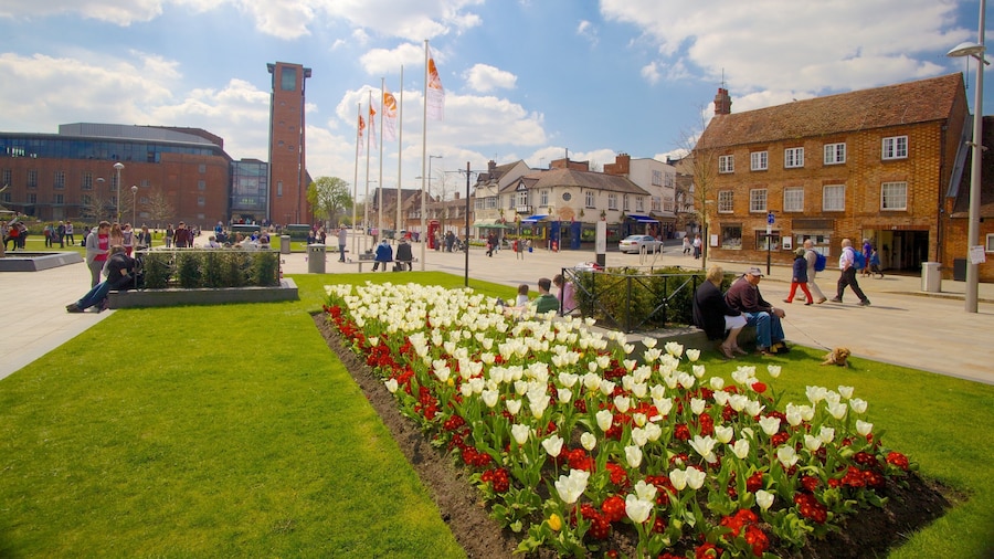 Royal Shakespeare Theatre showing a city, flowers and a square or plaza