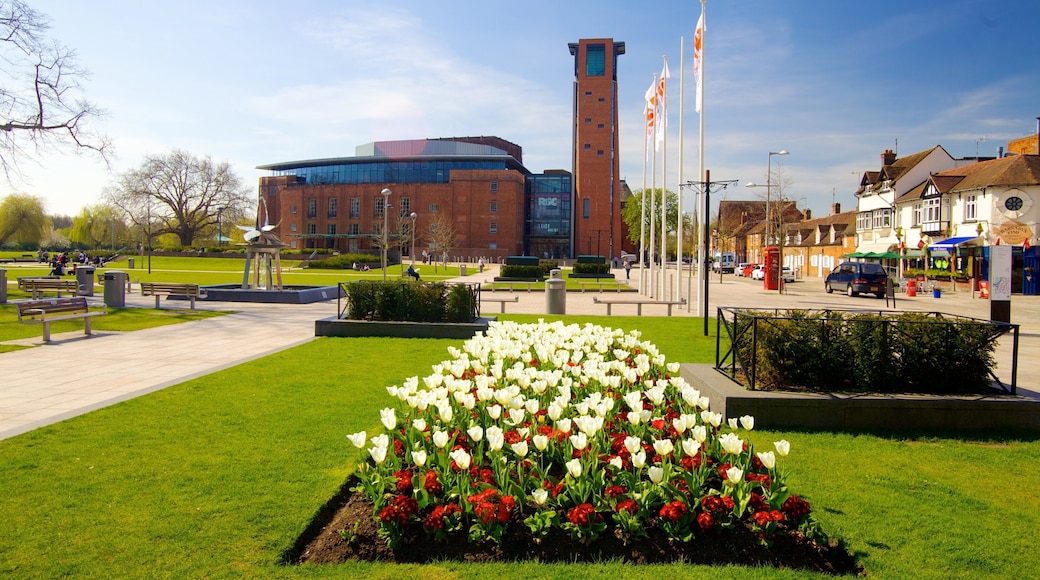 Birmingham showing flowers and a park