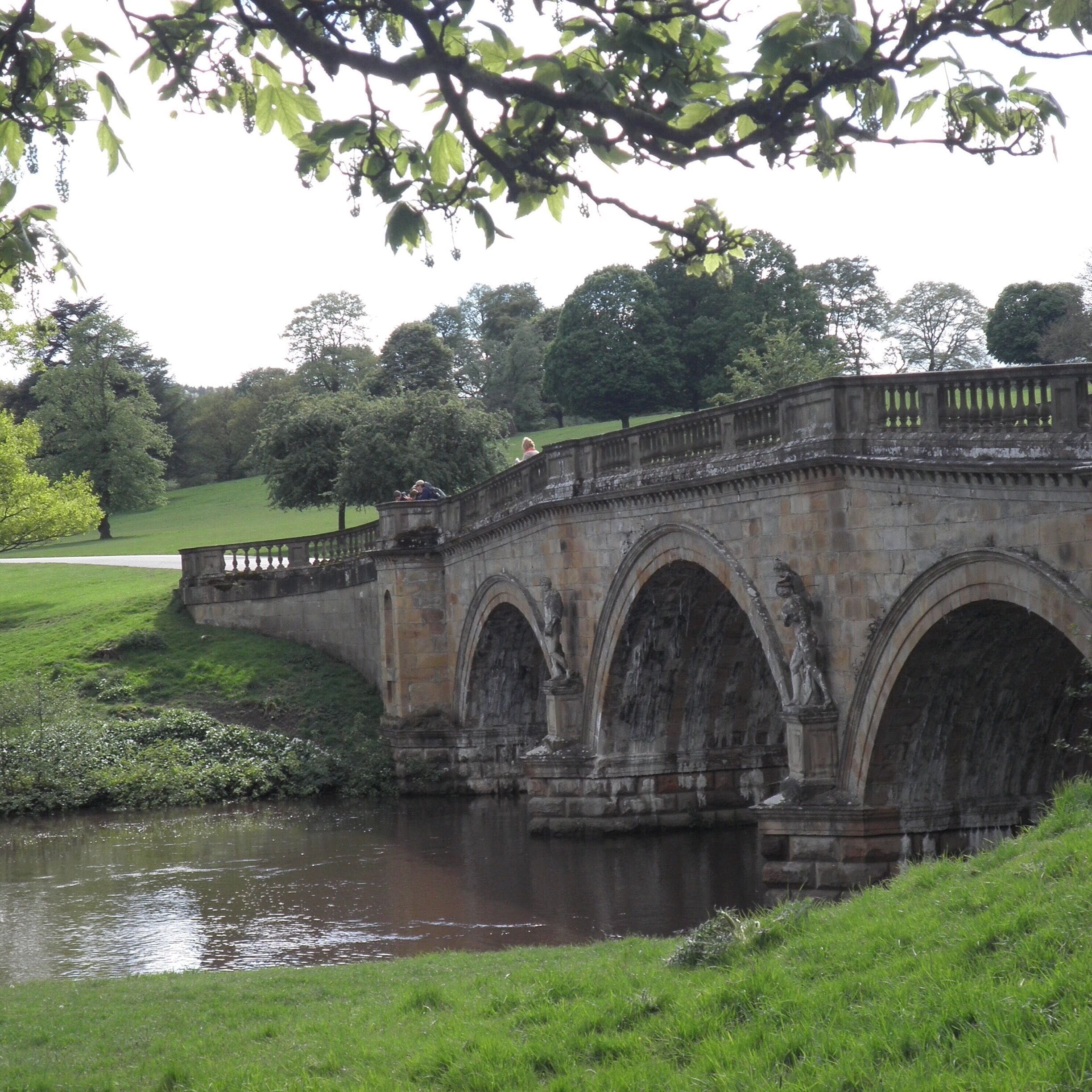 #AquaTrove at the stately home