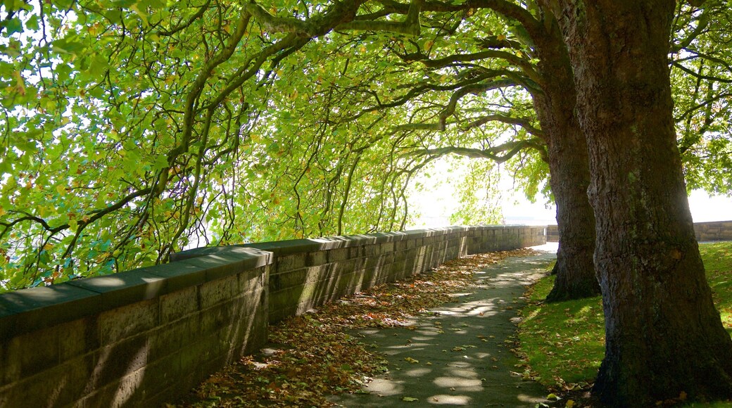 노팅엄 성 을 보여주는 정원 과 전경