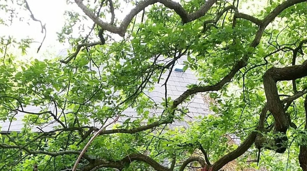 The legend himself Robin Hood doing what he did best.