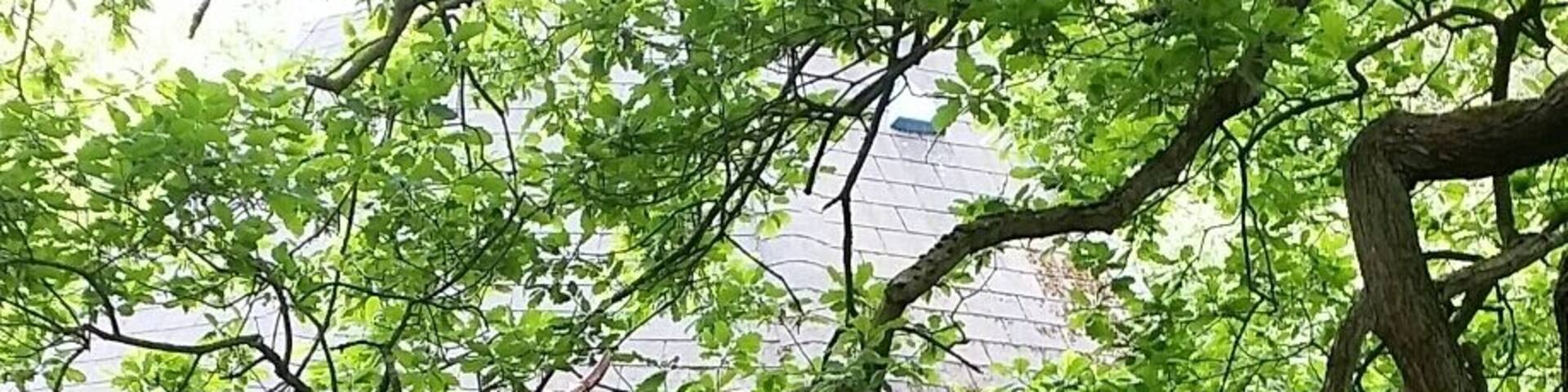 The legend himself Robin Hood doing what he did best.