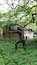 Une statue représentant une figure tenant un arc et des flèches, dans un jardin.