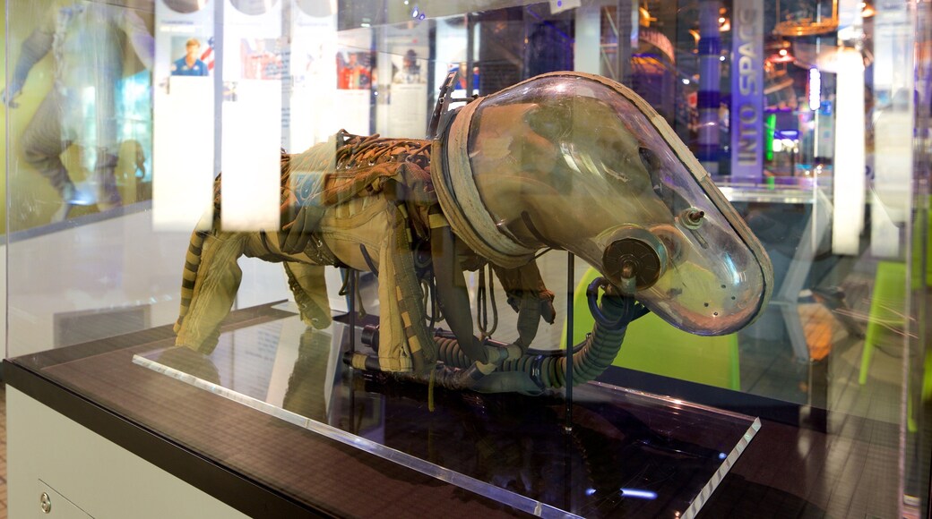 National Space Centre which includes interior views
