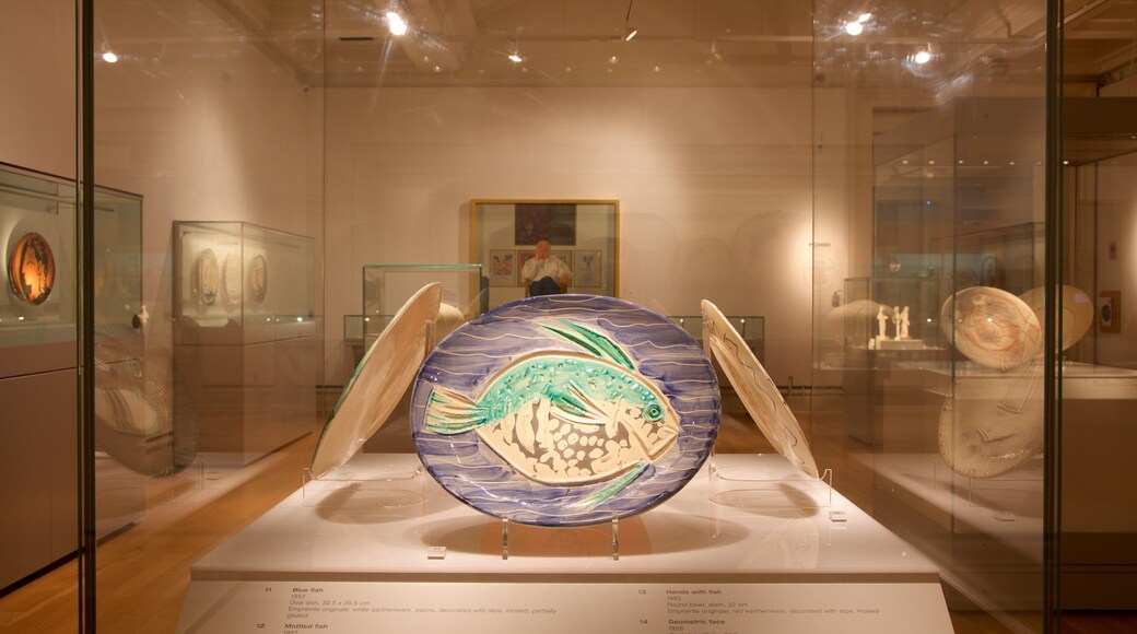 Bảo tàng New Walk cho thấy cảnh nội thất