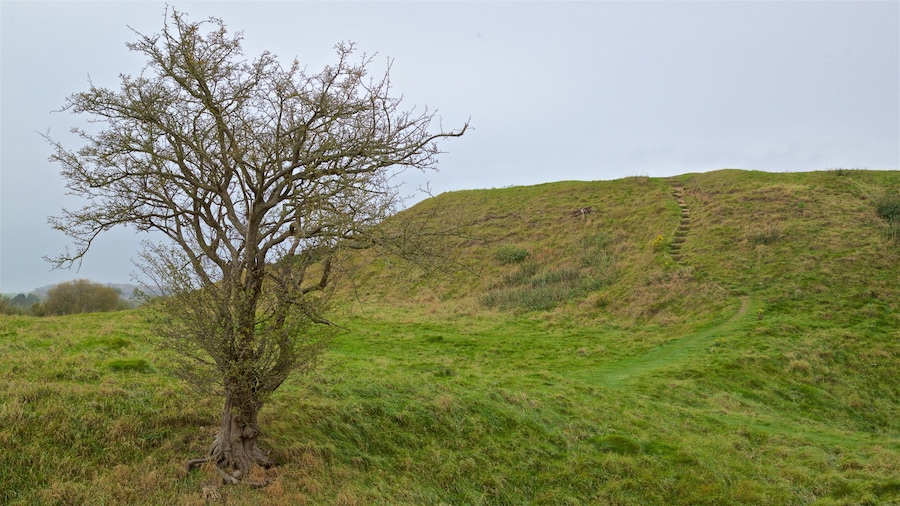 Fotheringhay Castle featuring a park