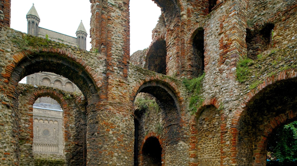 St Botolph\'s Church featuring a church or cathedral, heritage elements and a ruin