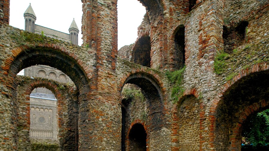 St Botolph\'s Church featuring a church or cathedral, heritage elements and a ruin