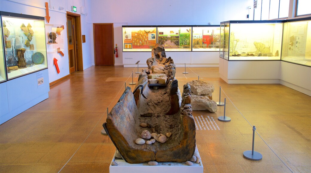 Derby Museum and Art Gallery fasiliteter samt innendørs