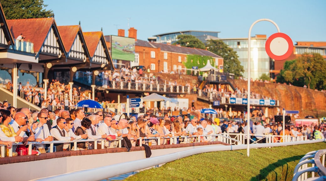 Chester Racecourse featuring a sporting event as well as a large group of people