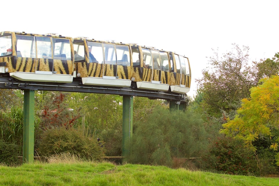 A cable car system with a tiger-striped design, suspended on a green metal structure, surrounded by lush greenery and trees.