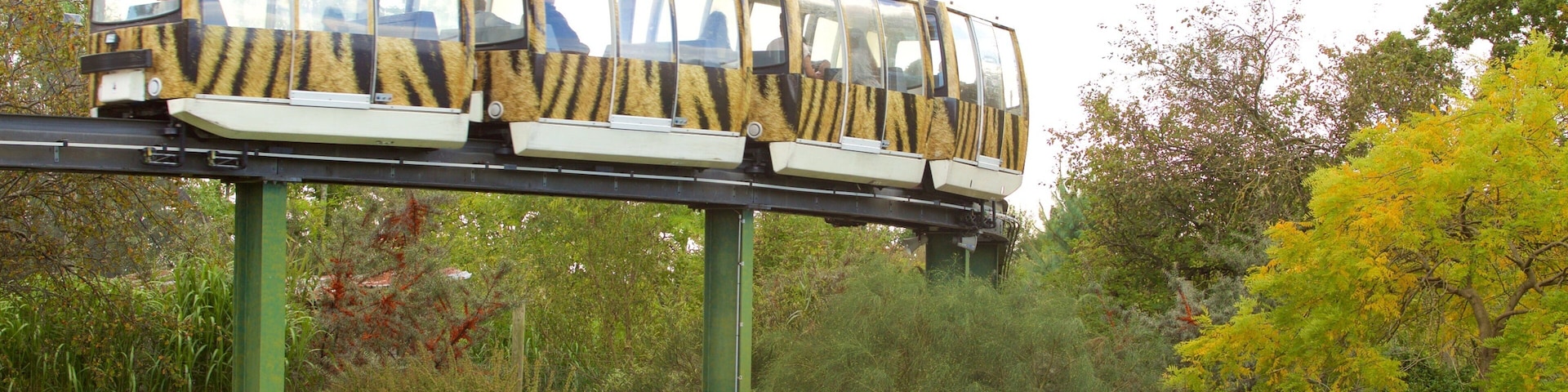 Chester Zoo featuring zoo animals and railway items