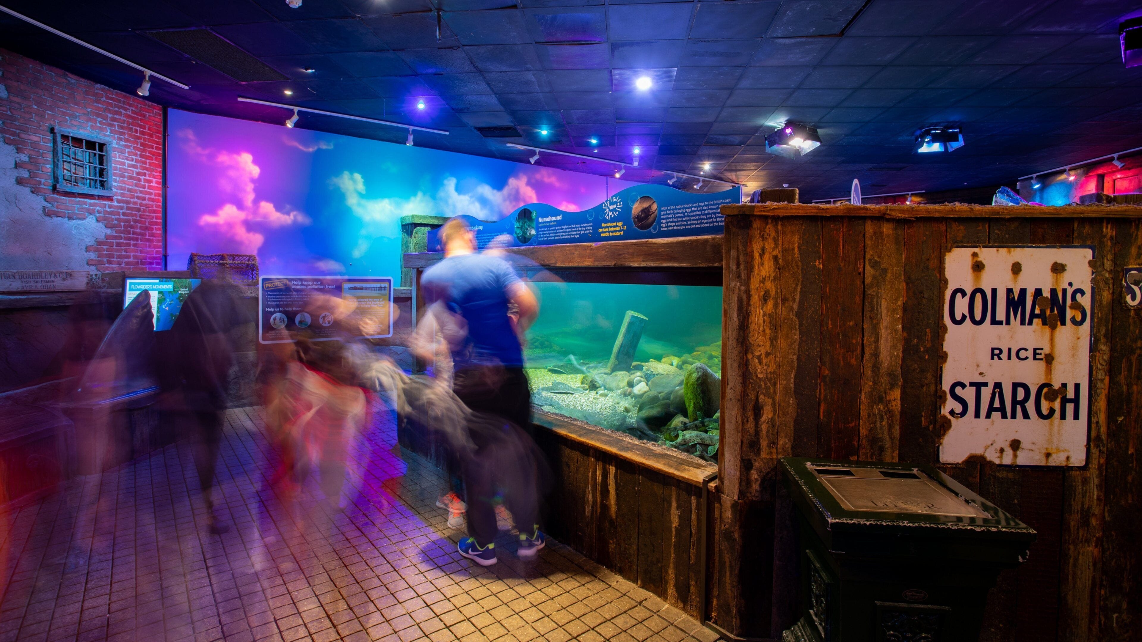 Blackpool Town Center featuring marine life, signage and interior views