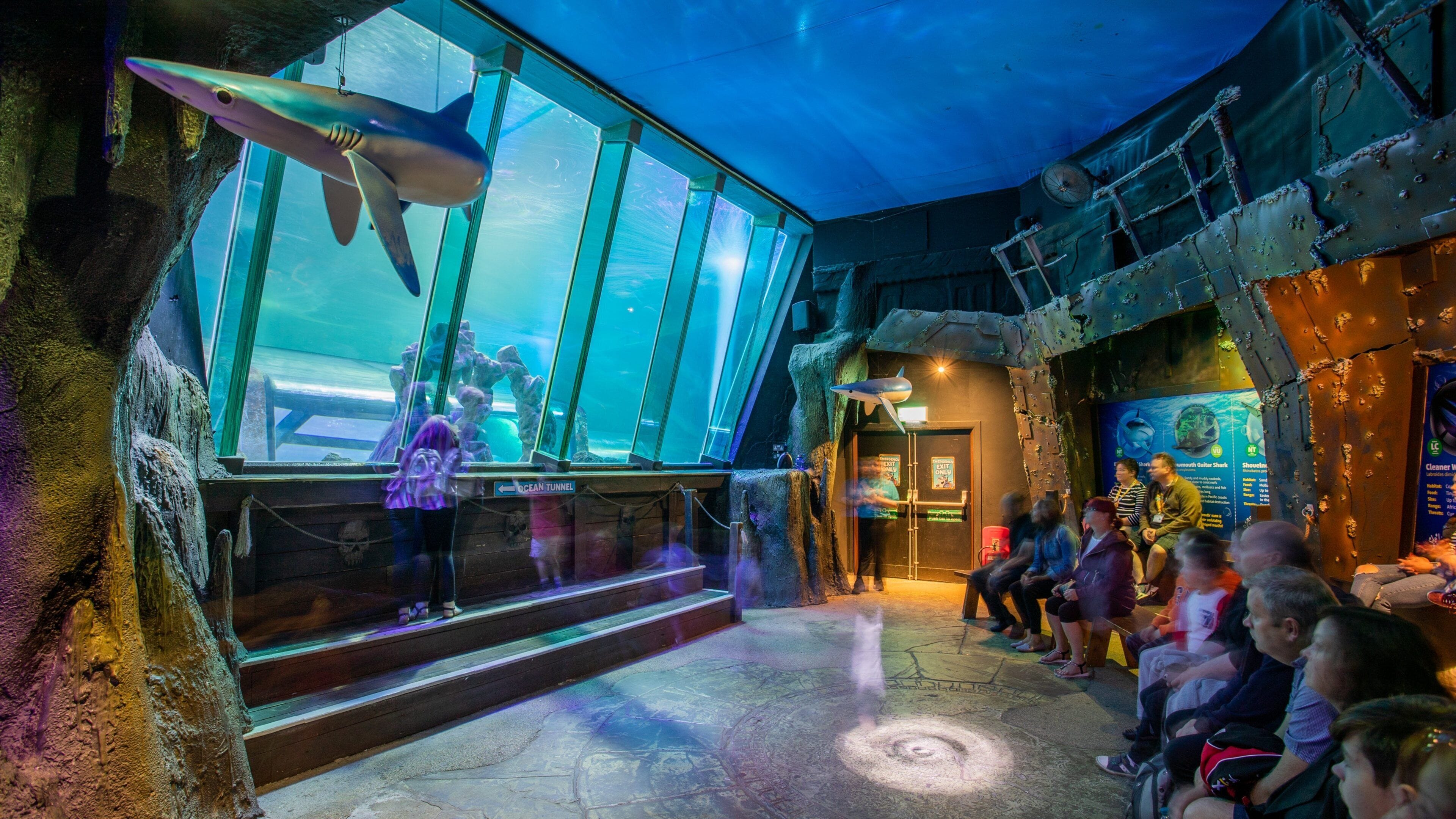 SEA LIFE Blackpool showing marine life and interior views