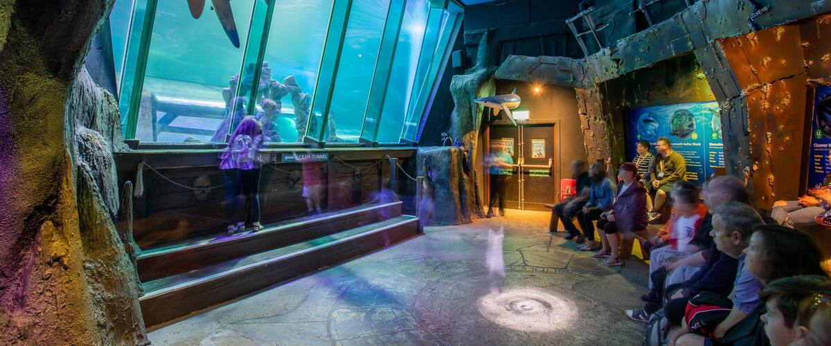 SEA LIFE Blackpool showing marine life and interior views
