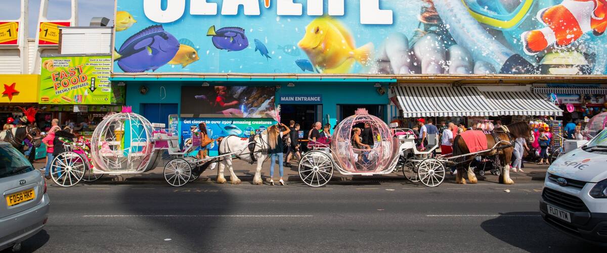 SEA LIFE Blackpool showing signage
