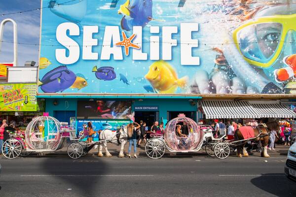 SEA LIFE Blackpool showing signage