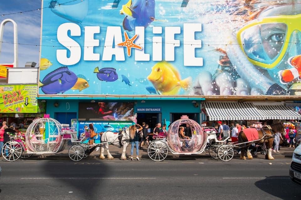 A busy street with a large 'SEALIFE' sign, a food stall, and a horse-drawn carriage.