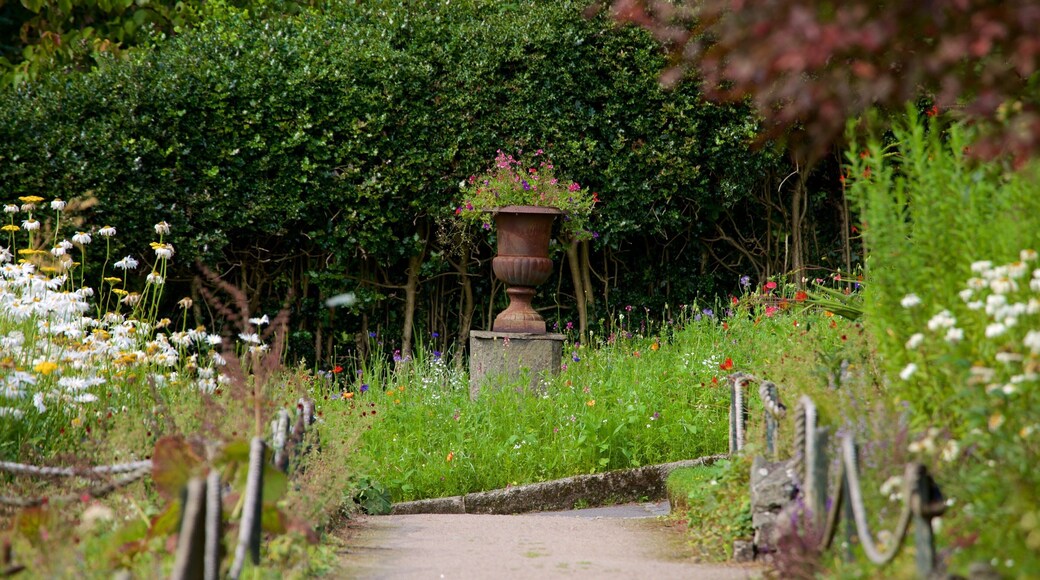 Lake District Visitor Centre at Brockhole featuring flowers and a park