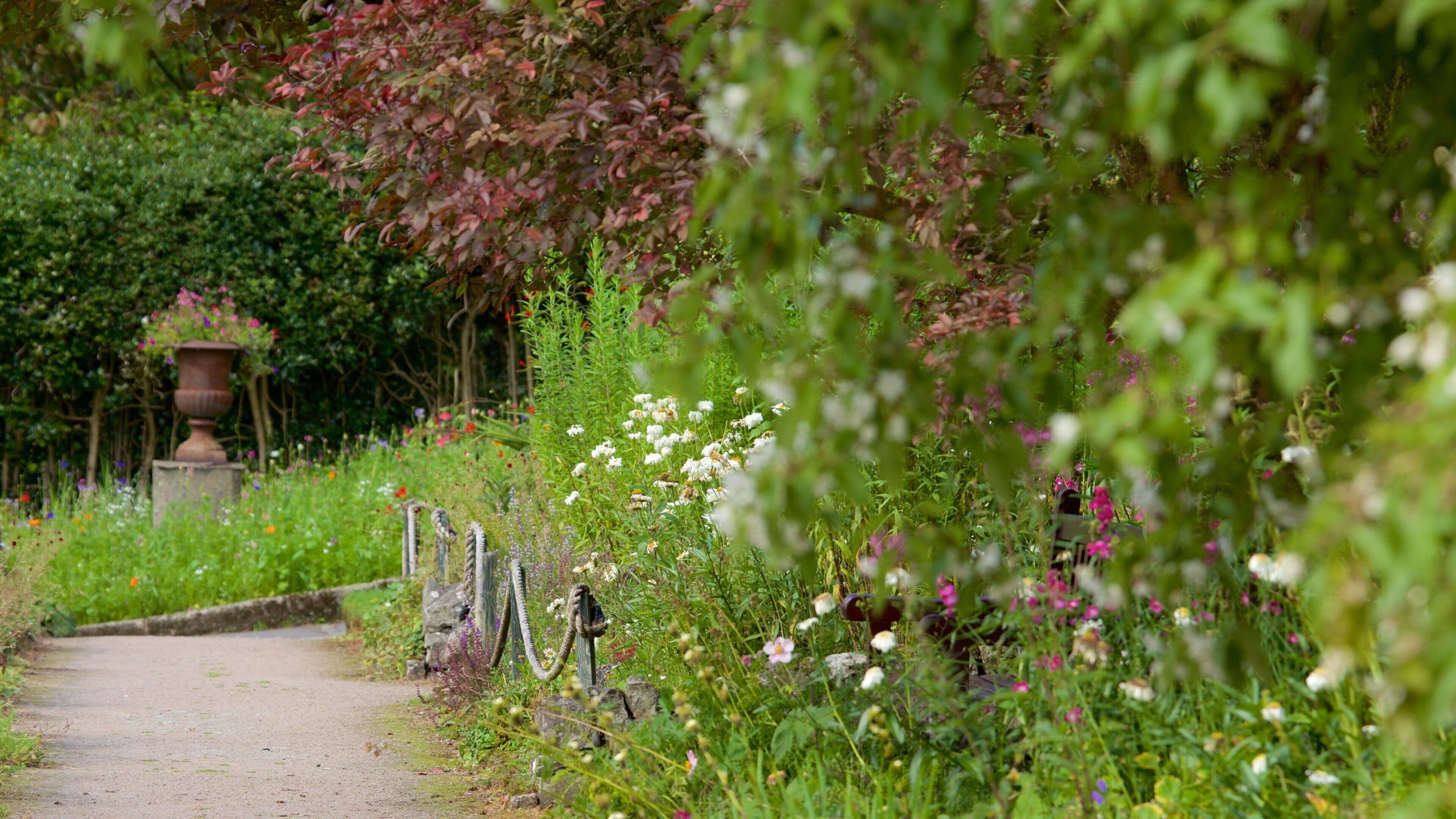 Lake District Visitor Centre at Brockhole featuring a garden