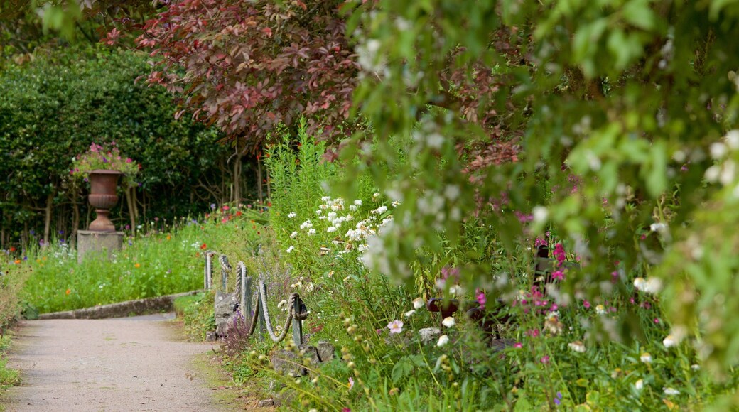 Lake District Visitor Centre at Brockhole which includes a garden