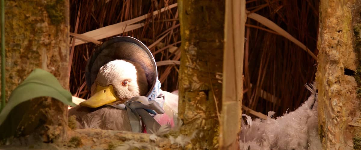 World of Beatrix Potter featuring bird life