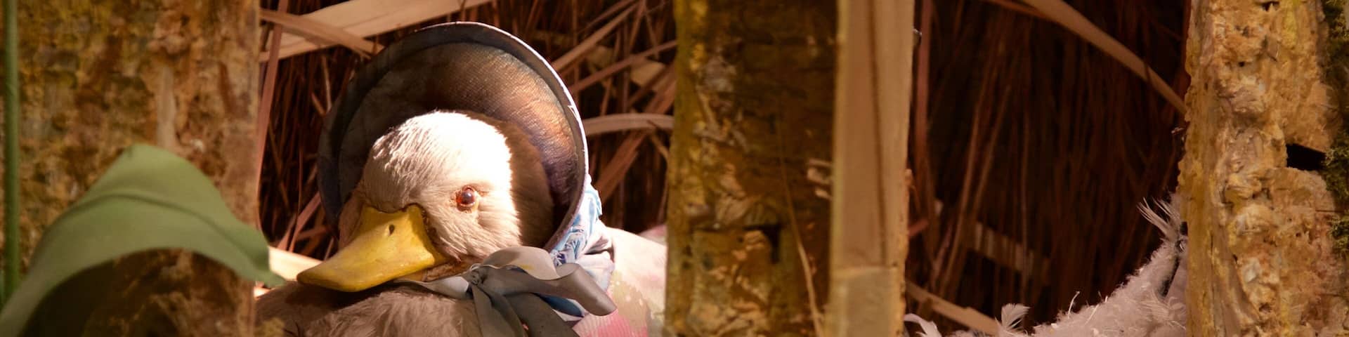 World of Beatrix Potter featuring bird life