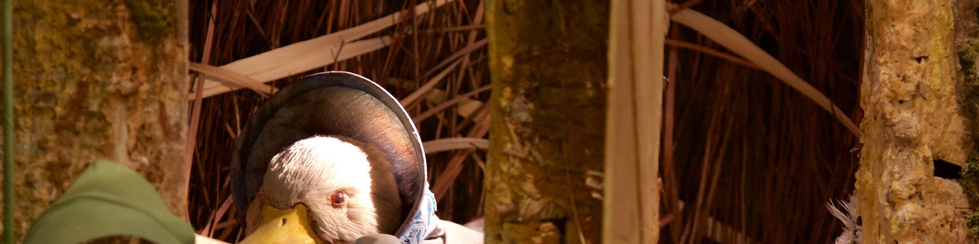 碧翠丝波特世界